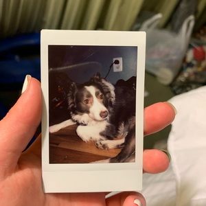 Meet your Posher, Sophie